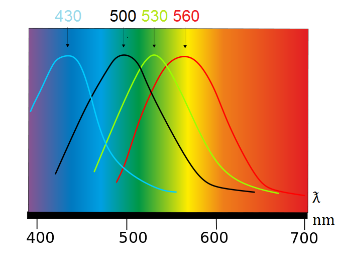 absorption example image